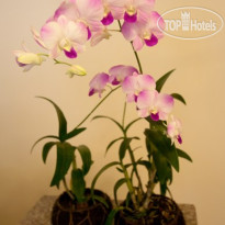 Sugar Palm Place лобби отеля