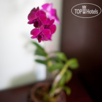 Sugar Palm Place лобби отеля