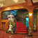 Sabai Inn Pattaya 