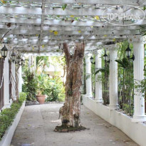 Natural Beach Hotel