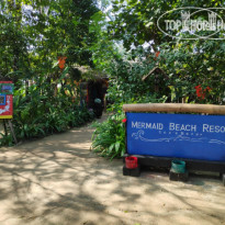 Mermaids Beach Resort 