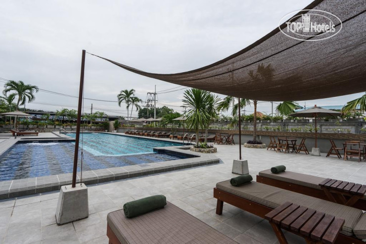 Olive Tree Hotel