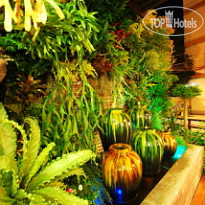 Embryo Hotel