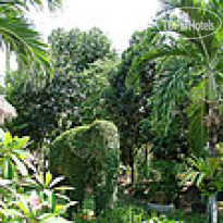 The Park 