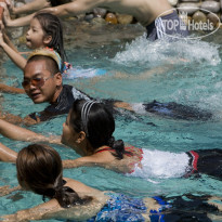 Hard Rock Hotel Pattaya Развлекательные программы