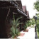 Dynasty Resort 