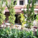 Ms Guest House 
