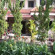 Ms Guest House 