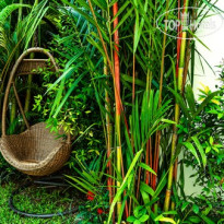 Palm Oasis Boutique Hotel 