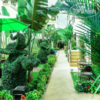 Palm Oasis Boutique Hotel 