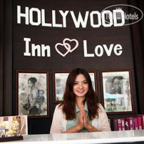 Hollywood Inn Love