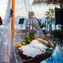 Coral Island Resort