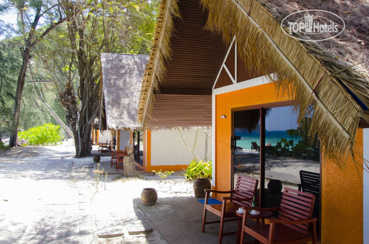 New photos from tourists Coral Island Resort 3*