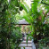 Club Bamboo Resort
