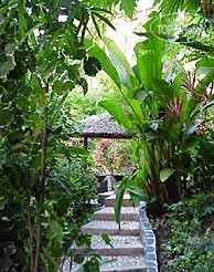Club Bamboo Resort