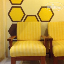 Beehive Patong Hostel 