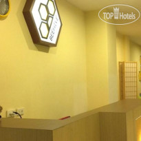 Beehive Patong Hostel 