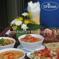 Palmview Resort