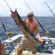 Tuna Resort 