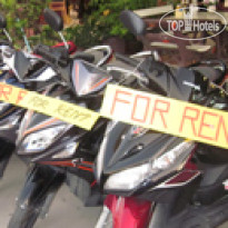 Sunny Days Inn Patong 