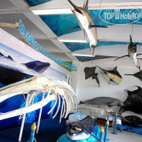 Phuket Boat Quay Boutique Guest House 