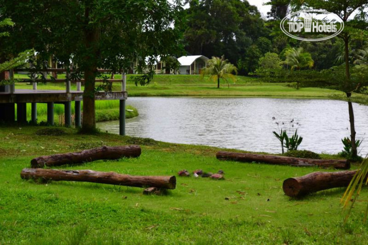 New photos from tourists Phuket Campground 3*