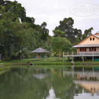 Phuket Campground 