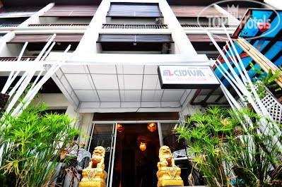 Hotelier's photos Elcidium Boutique Guesthouse 1*