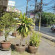 D's Corner & Guesthouse 