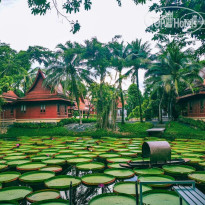 Ma Doo Bua Phuket