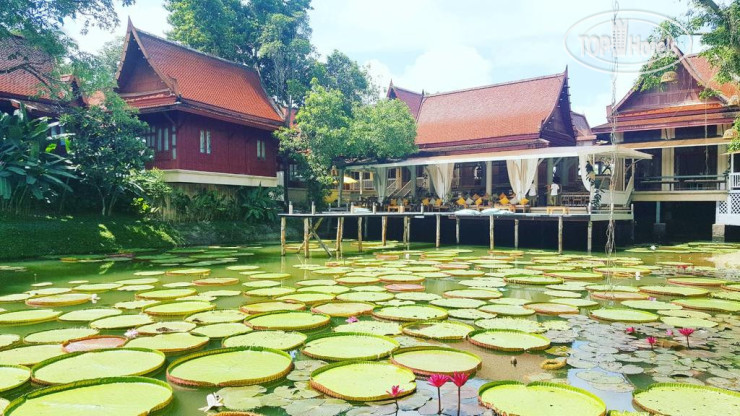 New photos from tourists Ma Doo Bua Phuket 4*