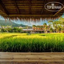 Naina Resort & Spa