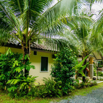 Naya Bungalow Территория отеля Naya Bungalow