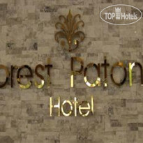 New Forest Patong 