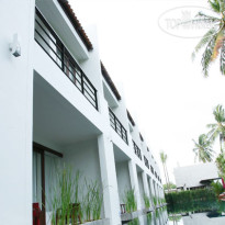 P Tree Boutique 