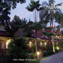 Palm Village 