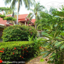 Palm Village 