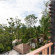 The Mangrove by Blu Monkey Phuket - SHA Extra Plus 