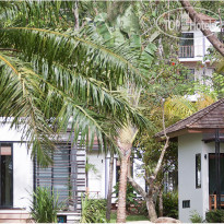 The Mangrove by Blu Monkey Phuket - SHA Extra Plus