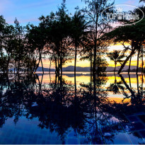 The Mangrove by Blu Monkey Phuket - SHA Extra Plus