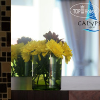 Calypso Patong Hotel 