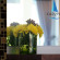Calypso Patong Hotel 