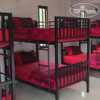 Samui Backpacker Hotel 