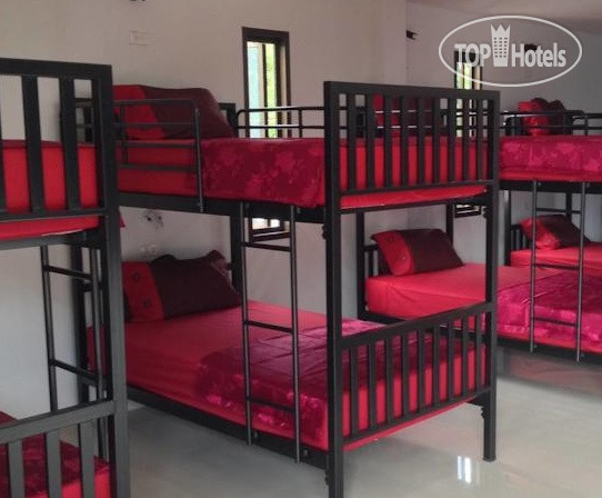 New photos from tourists Samui Backpacker Hotel 2*