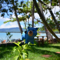 Think & Retro Cafe Lipa Noi Samui 