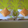 Sasitara Thai Villas 