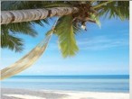 New photos from tourists Ark Bar Beach 3*
