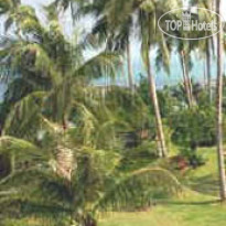 Royal Living Residence 