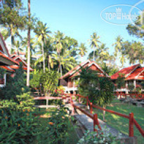New Star Resort 