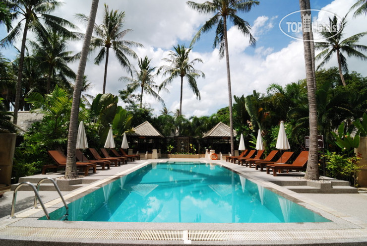 New photos from tourists Koh Samui Resort
